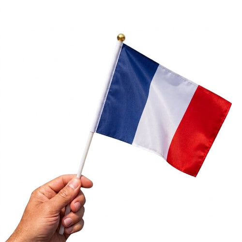 10 drapeaux tricolores 20 x 30 cm en tissu, hampe 40 cm