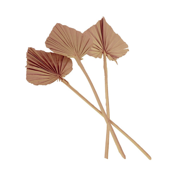 10 feuilles de palmier découpées rose, 55 cm