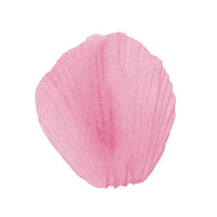 100 pétales de rose avec feuille, 5 couleurs — Rose