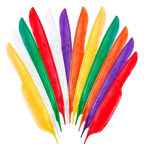 12 plumes d'Indien multicolores