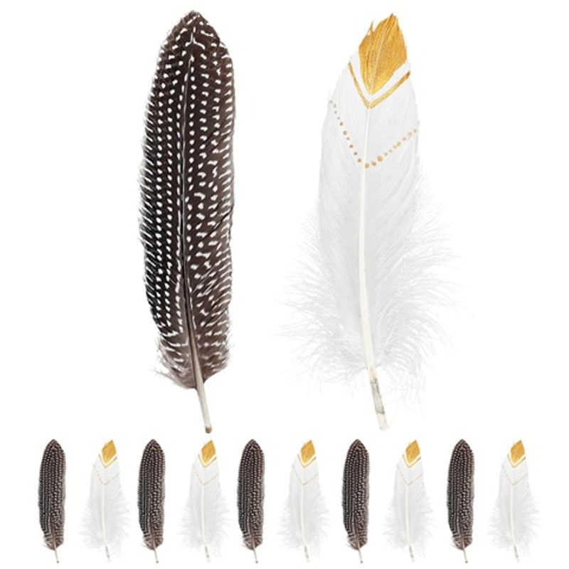 12 plumes d'Indien véritables