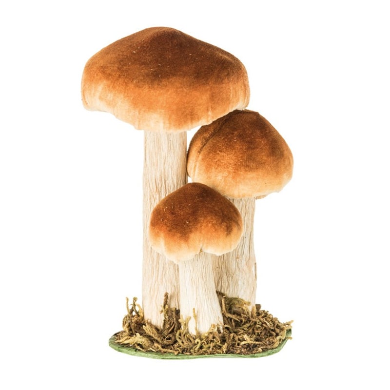 3 champignons sur socle en mousse