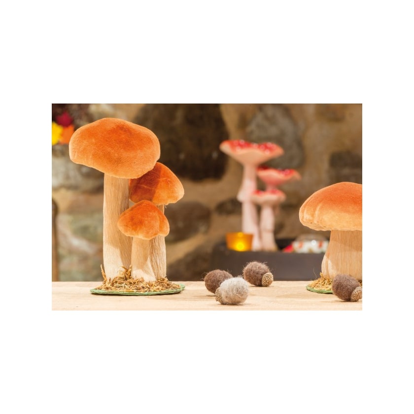 3 champignons sur socle en mousse — vue 4