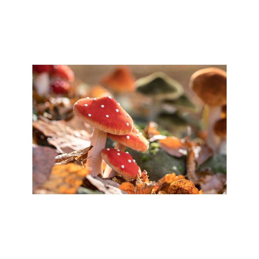 3 champignons sur socle en mousse — Rouge (vue 2)