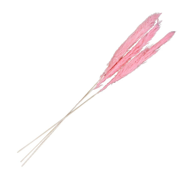 3 tiges d'herbe de pampa rose, 100 à 135 cm