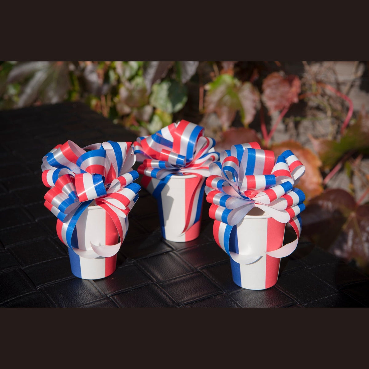 5 nœuds tricolores bleu, blanc, rouge, 31 mm — vue 2