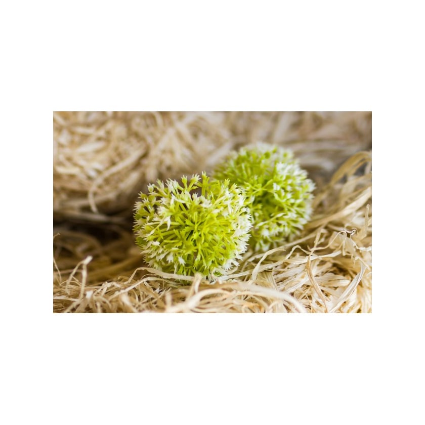 6 boules décoratives en herbe, 8 cm — vue 2