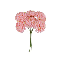 6 mini hortensias