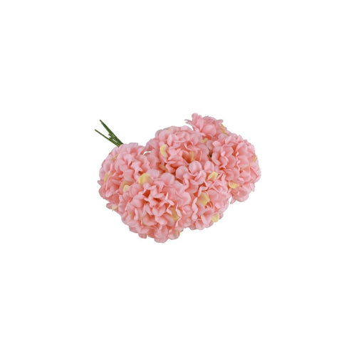6 mini hortensias — vue 2