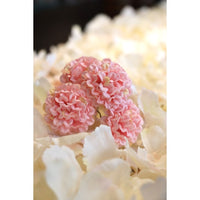 6 mini hortensias — vue 3