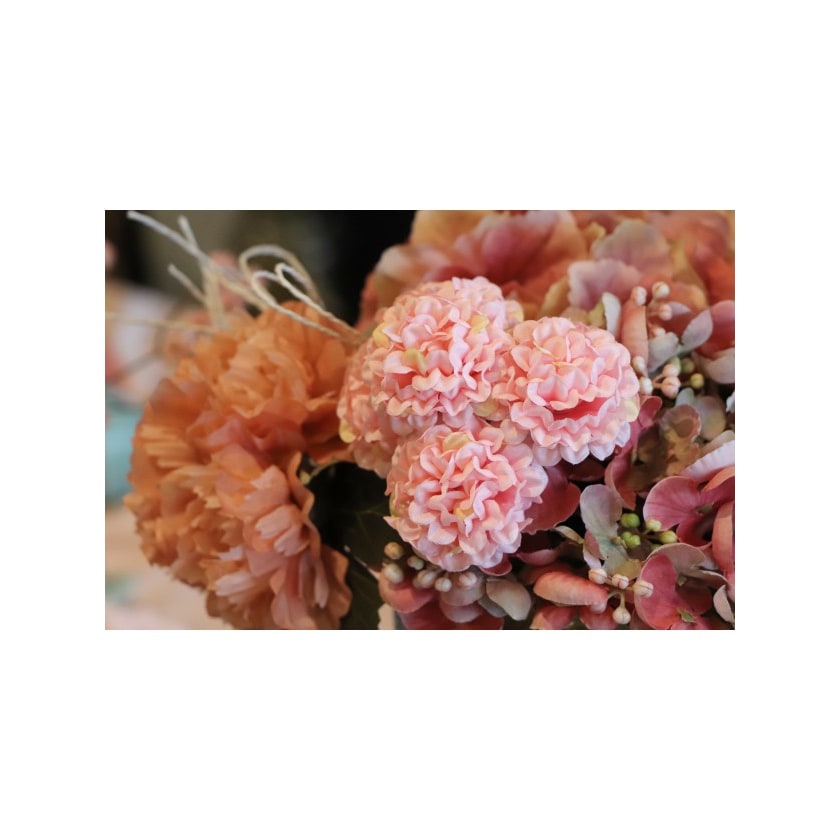 6 mini hortensias — vue 4