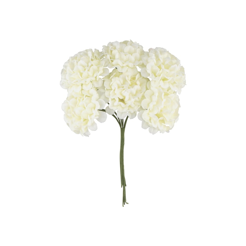 6 mini hortensias — Ivoire