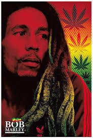 Bonnet rasta avec dreadlocks intégrées, taille unique — visuel 3