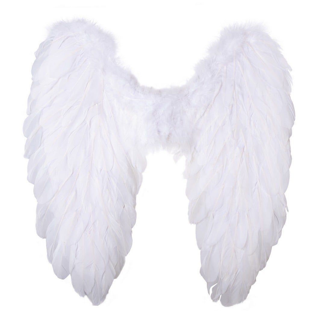 Ailes d'ange en plumes, 50 x 50 cm