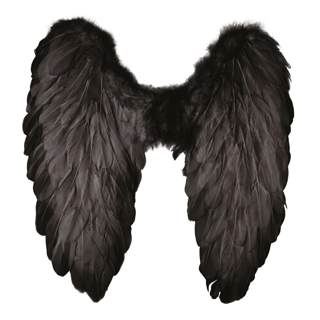 Ailes d'ange en plumes, 50 x 50 cm — vue 2