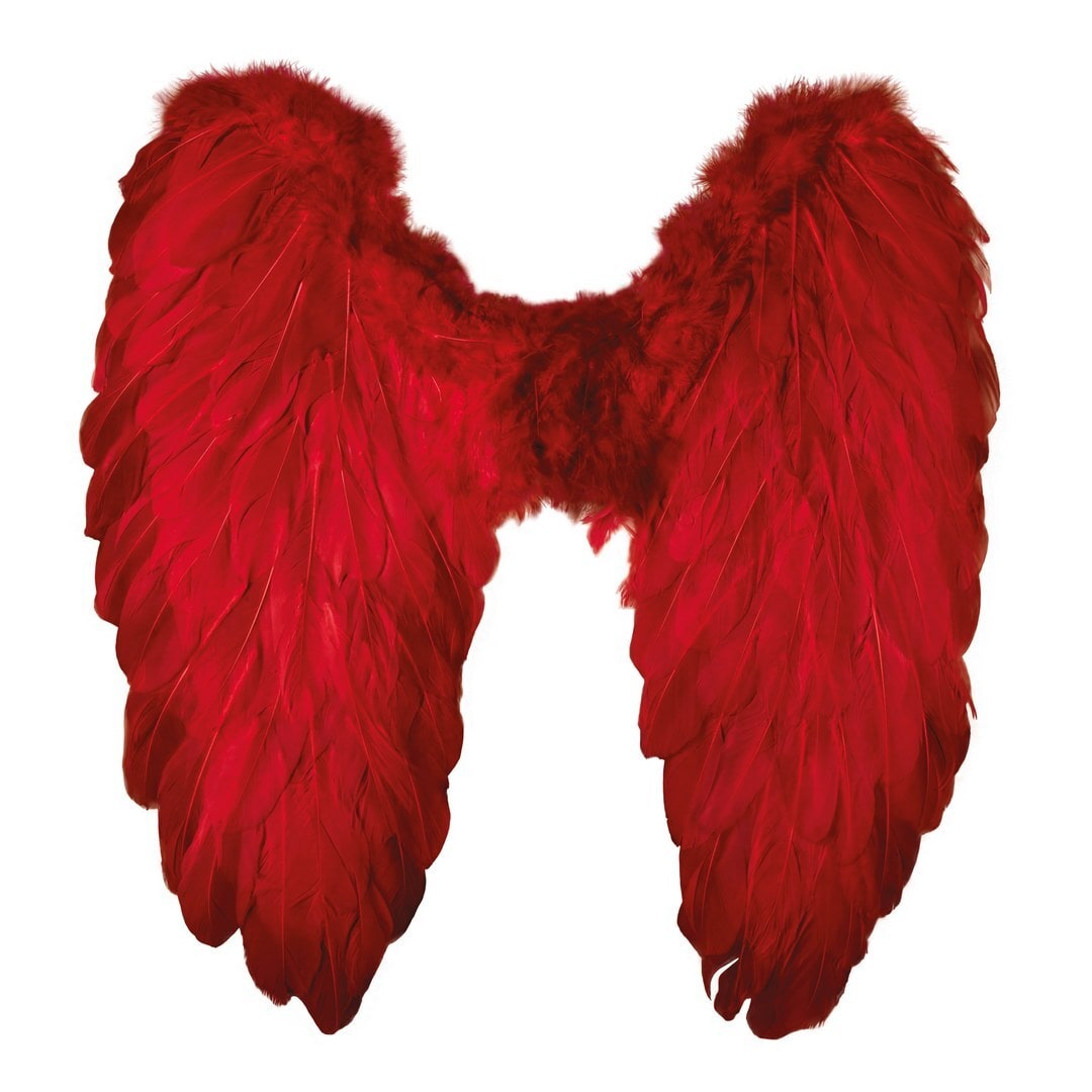 Ailes d'ange en plumes, 50 x 50 cm — vue 3
