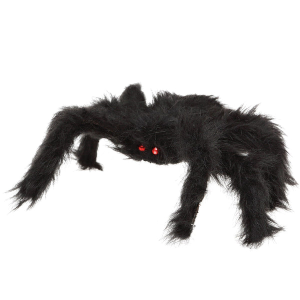 Araignée velue géante, 28 cm
