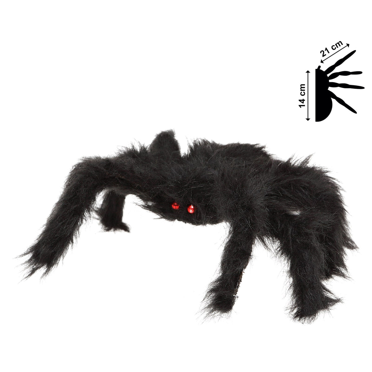 Araignée velue géante, 28 cm — vue 2