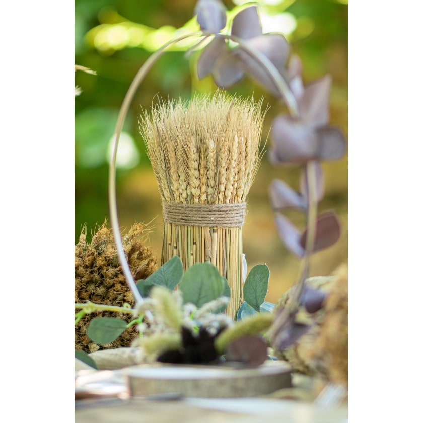 Botte d'épis de blé naturel, 28 cm — vue 2