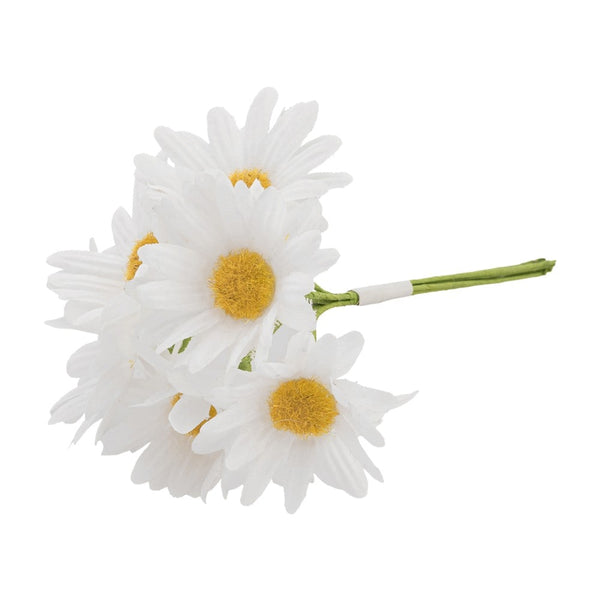 Bouquet de 6 marguerites blanches