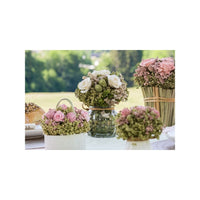 Bouquet de fleurs blanches en vase, 15 cm — vue 2