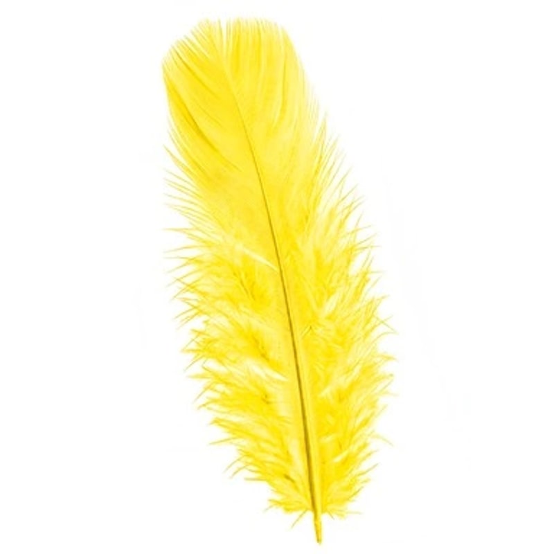 50 petites plumes de 10 cm, 5 couleurs