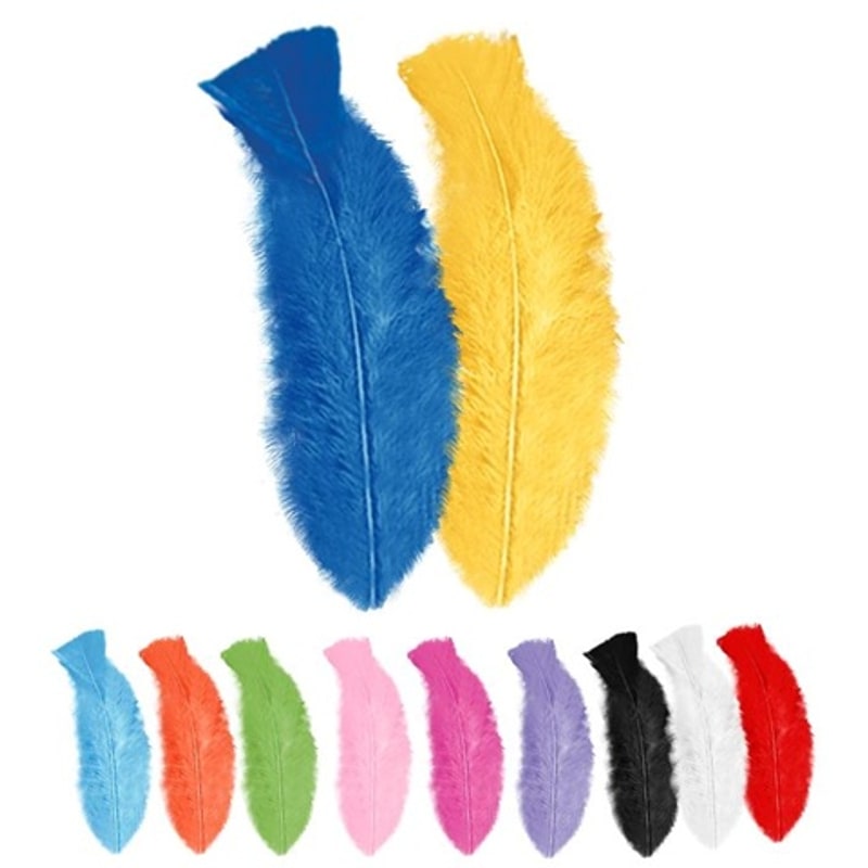 50 petites plumes de 10 cm, 5 couleurs — vue 2