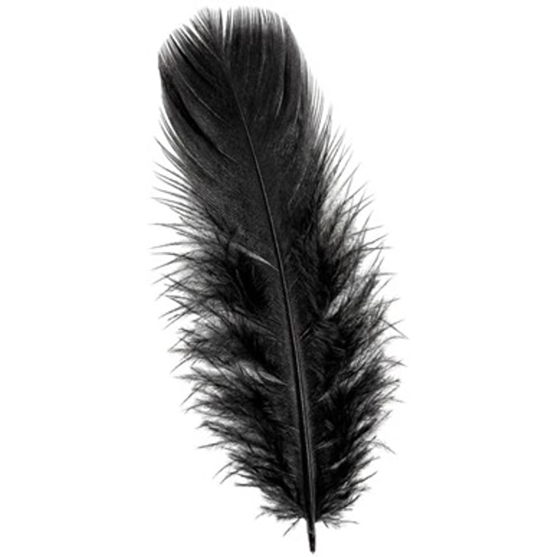50 petites plumes de 10 cm, 5 couleurs — Noir