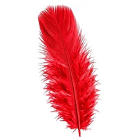 50 petites plumes de 10 cm, 5 couleurs — Rouge