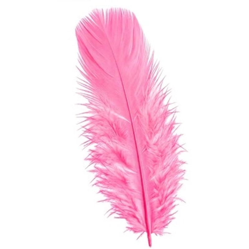 50 petites plumes de 10 cm, 5 couleurs — Rose
