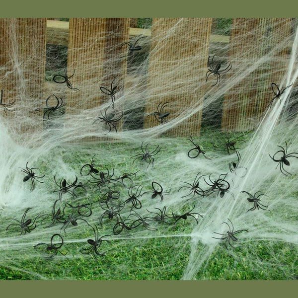 Sac de 50 araignées noires