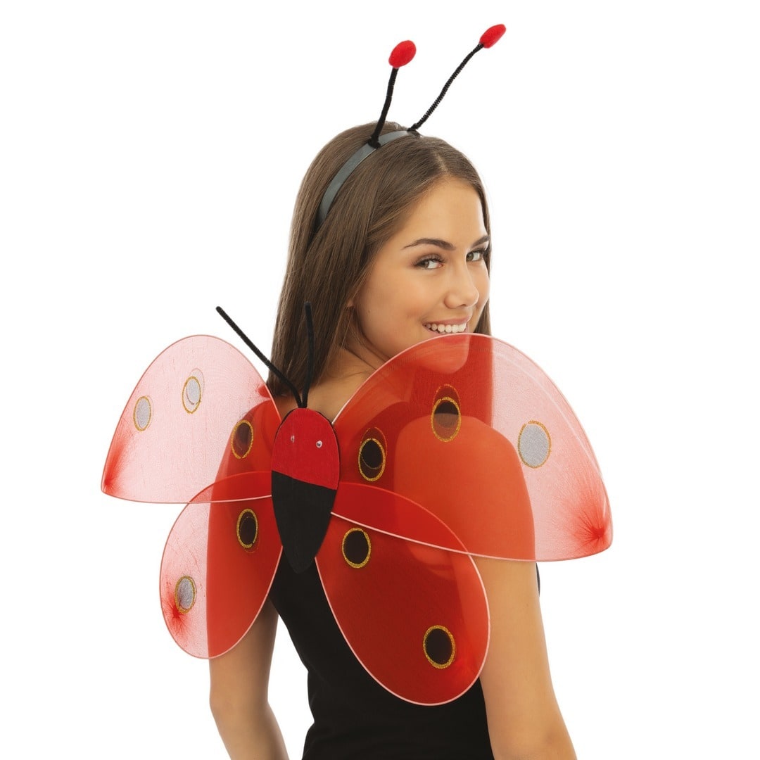 Set coccinelle, ailes et antennes