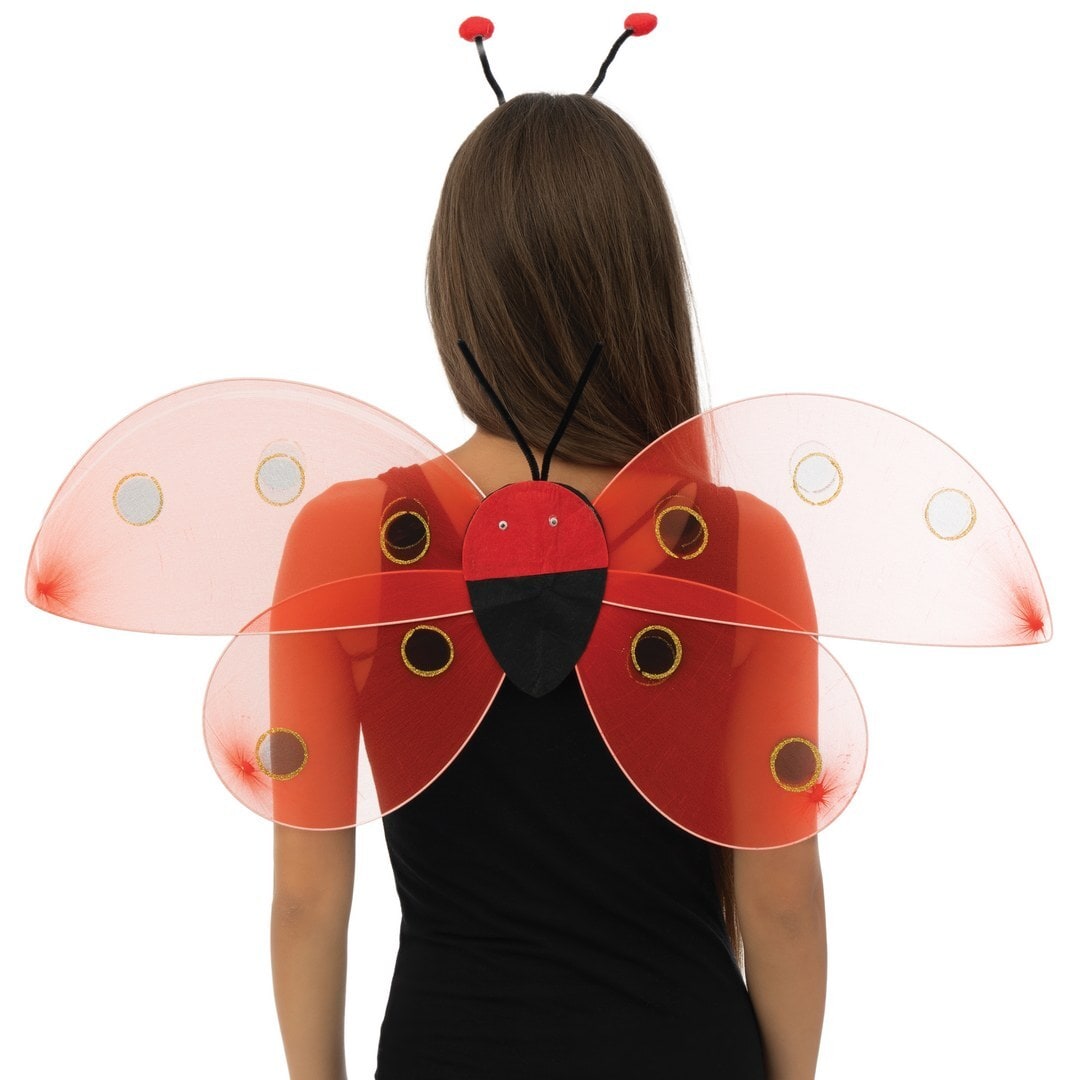 Set coccinelle, ailes et antennes — vue 2