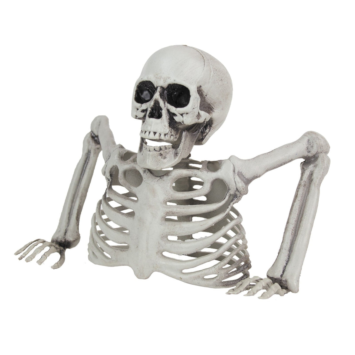 Squelette mort-vivant, 25 cm