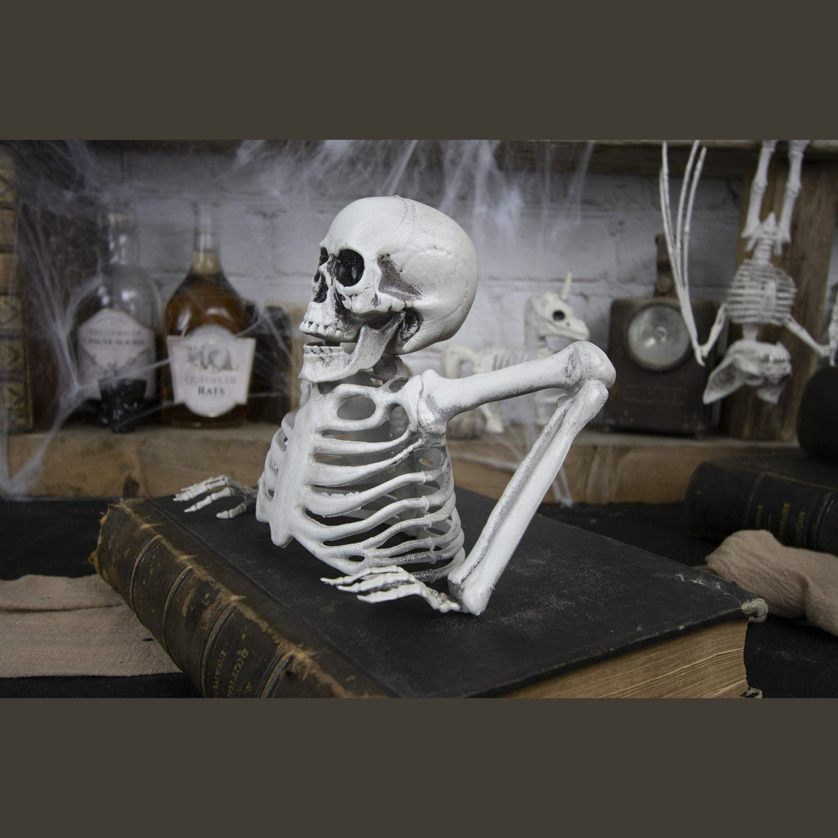 Squelette mort-vivant, 25 cm — vue 2