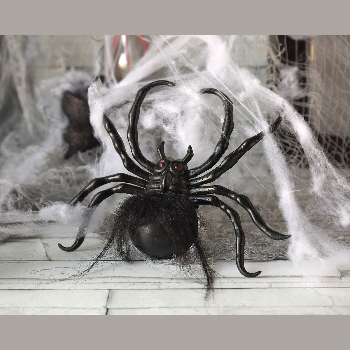 Toile d'araignée et grosse araignée — vue 2